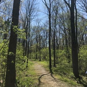 Meet your Posher, Joya